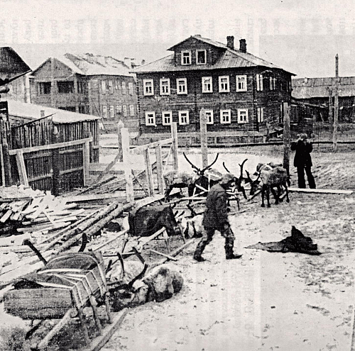 Гиганты Большеземельской тундры