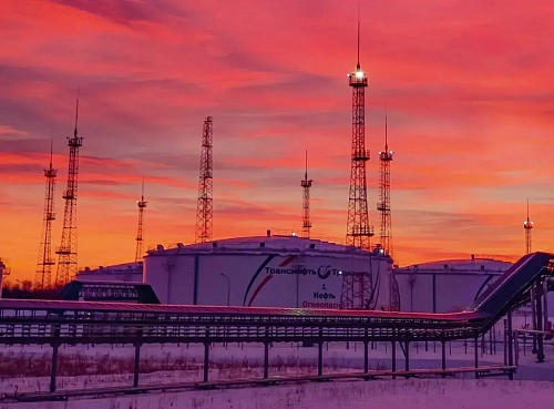 Моя НПС